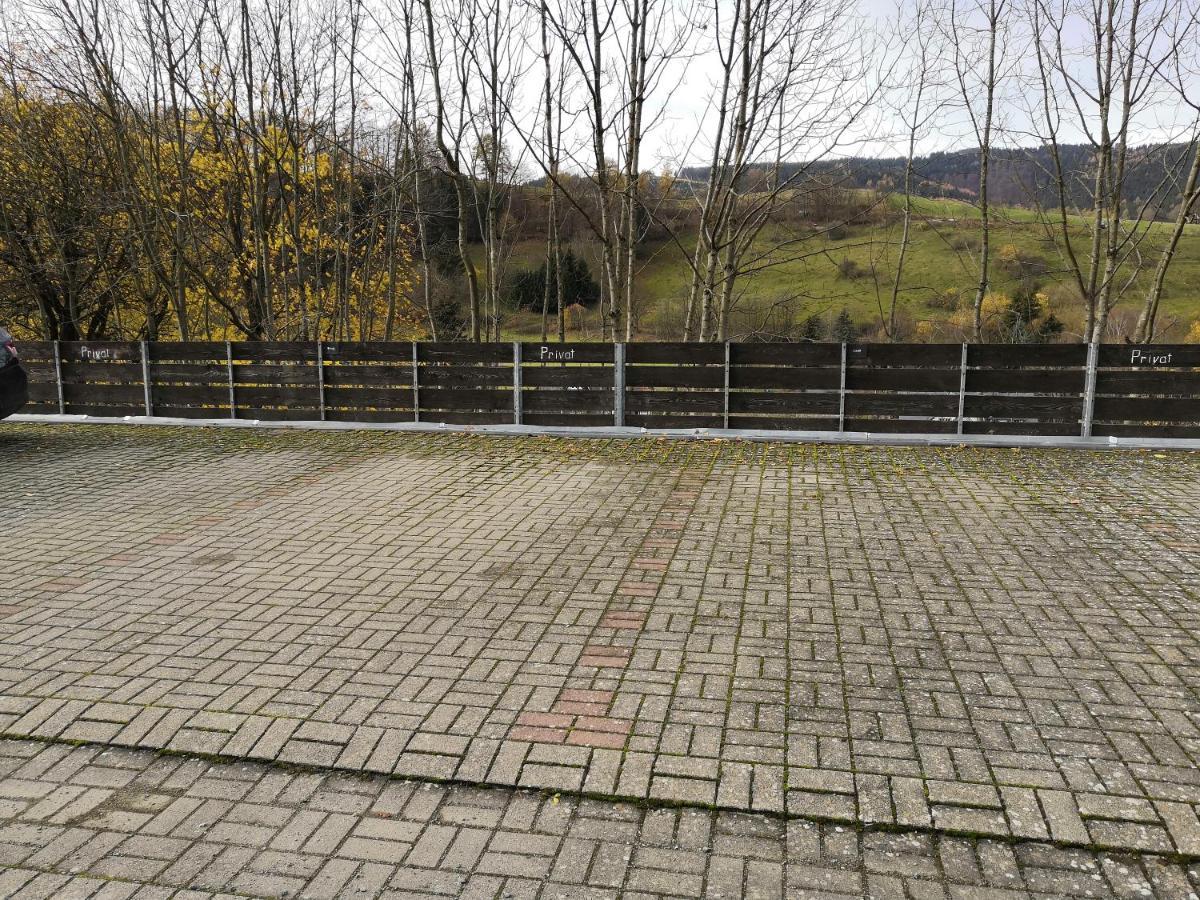 Gemutliche Ferienwohnung D'N Uitkijk - Willingen Willingen  Exterior photo